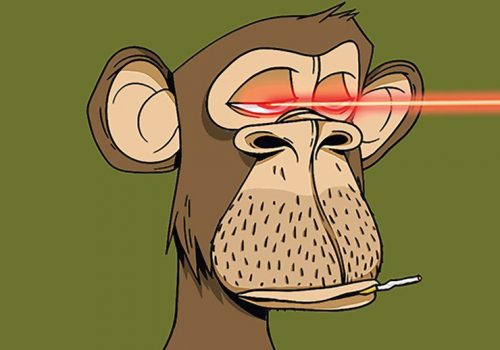 बोर्ड एप एनएफटी भूलवश ३ लाखको सट्टा ३ हजार डलरमा बिक्री