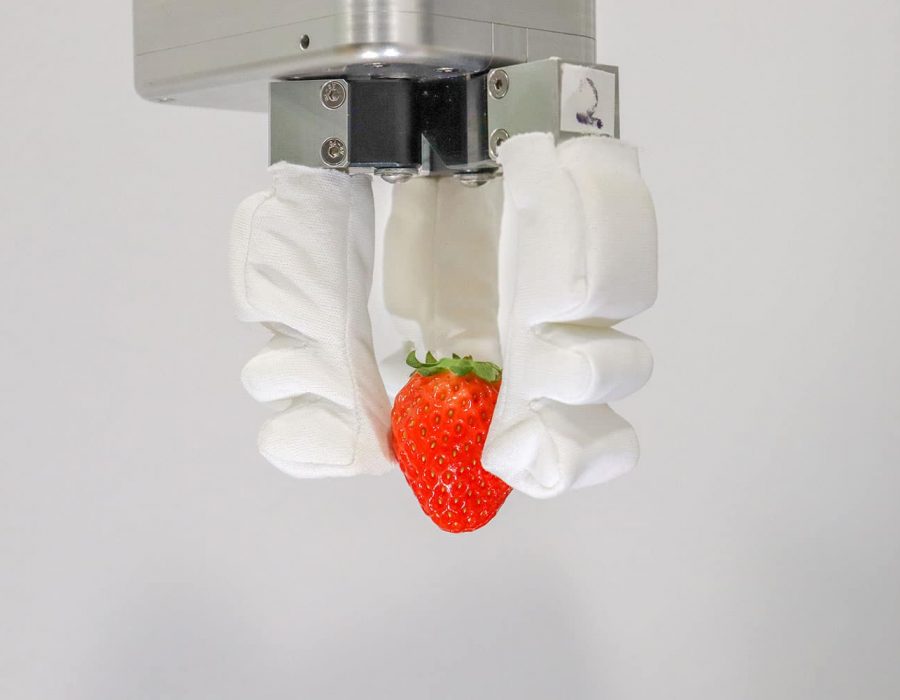 सिंगापुरका इन्जिनियरहरूले बनाए नरम सामग्री समात्न सक्ने रोबोटिक औंला