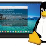 अमेरिकी परनिर्भरता घटाउन विण्डोज हटाएर लिनक्स अपरेटिङ सिस्टम राख्दै फ्रान्स