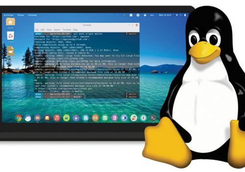 लिनक्स ओएस प्रयोगकर्ताहरूमा र्यान्समवेयर आक्रमण ७५ ले प्रतिशत बढ्यो