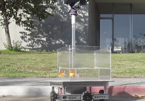 वैज्ञानिकहरूले गोल्डफिशलाई दिए तालिम, रोबोट कार चलाउन सफल