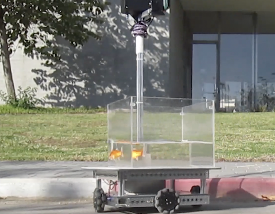 वैज्ञानिकहरूले गोल्‍डफ‍िशलाई दिए तालिम, रोबोट कार चलाउन सफल