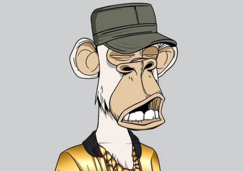 चर्चित कलाकार एमिनेमले किने आफ्नै पहिरन लगाएको बोर्ड एप एनएफटी