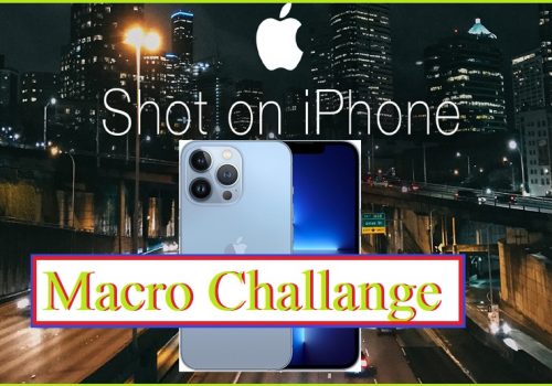 आईफोन १३ चलाउनुहुन्छ? त्यसो भए यसरी भाग लिनुस् ‘शट अन आईफोन’ म्याक्रो च्यालेञ्जमा