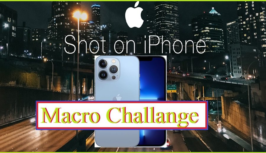 आईफोन १३ चलाउनुहुन्छ? त्यसो भए यसरी भाग लिनुस् ‘शट अन आईफोन’ म्याक्रो च्यालेञ्जमा