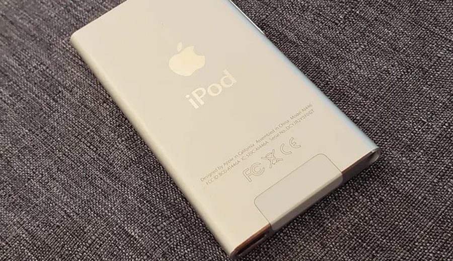 नाै वर्षअघि ३  हजार आईपड चोरेको आरोपमा एक महिलालाई १८ महिना जेल सजाय