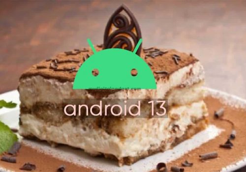 गुगलद्वारा एन्ड्रोइड १३ को डेभलपर प्रिभ्यू सार्वजनिक