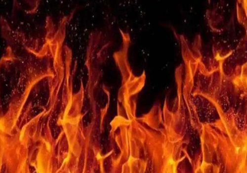 डढेलो नियन्त्रणका लागि प्रविधिको प्रयोग गरिँदै