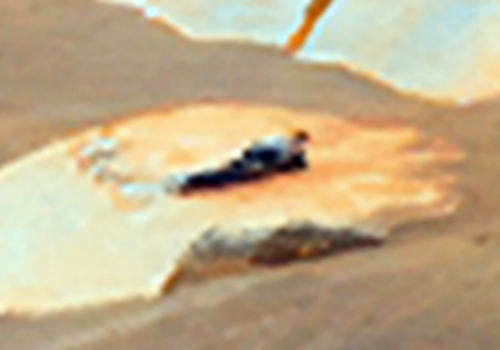 के मंगल ग्रहमा एलियनहरू उपस्थित छन्? जान्नुहोस् यो तस्बिरको वास्तविकता