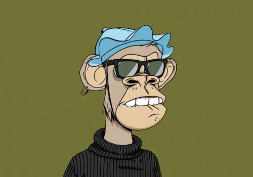 बोरड एप याच क्लबले युक्रेनी सरकारलाई दियो १० लाख डलरको ईथेरियम