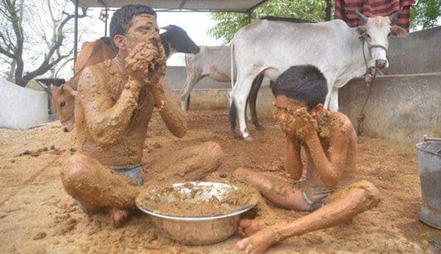 चीनमा गाईको गोबरबाट व्यावसायिक बिजुली उत्पादन शुरु