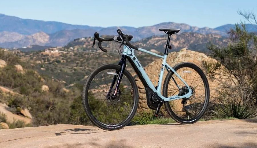 भारतमा दिल्ली सरकारले विद्युतीय साइकल खरिद गर्नेलाई अनुदान दिने