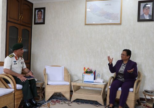 सेनाले ब्यारेकमा खाना पकाउन विद्युतीय चुल्हो प्रयोग गर्ने