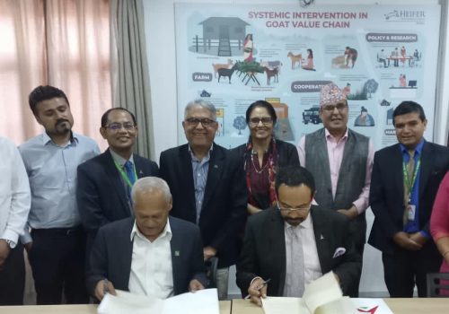 नबिल बैंक र हेफर इन्टरनेशनल नेपालबीच सम्झौता