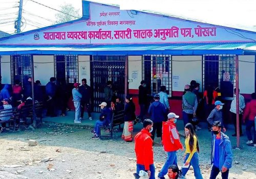 लाइसेन्सको अनलाइन फाराममा पनि घुइँचो