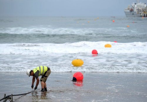 समुद्रमुनिको इन्टरनेट केबलले भूकम्प पत्ता लगाउन सहयोग गर्ने