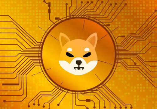 मिममा आधारित क्रिप्टोकरेन्सी ‘शिबा इनु’को मूल्य आगामी ८ वर्षमा शून्य !