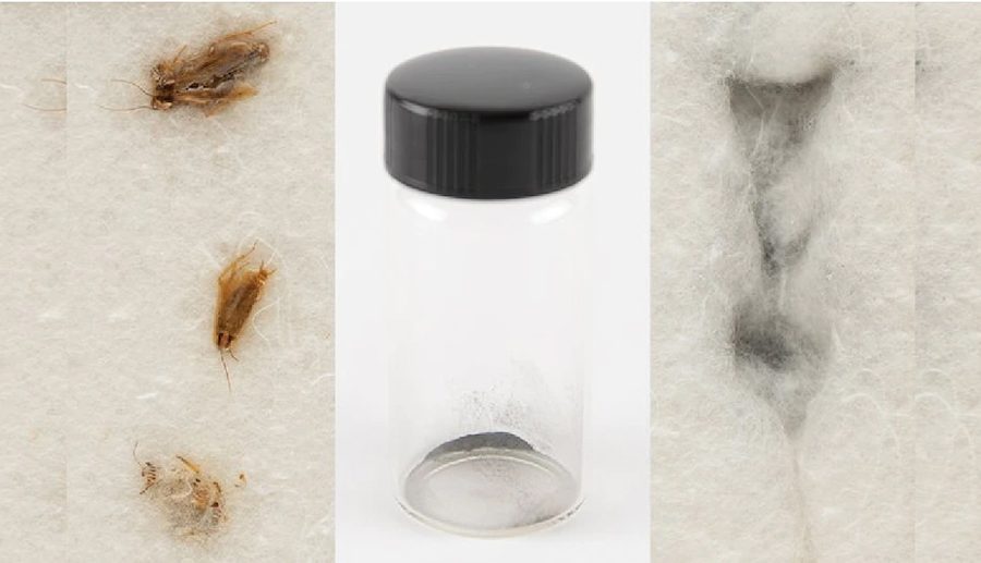 लिलामीमा राखिएको चन्द्रमाको धुलो र साङ्ला फिर्ता गर्न नासाको अनुरोध