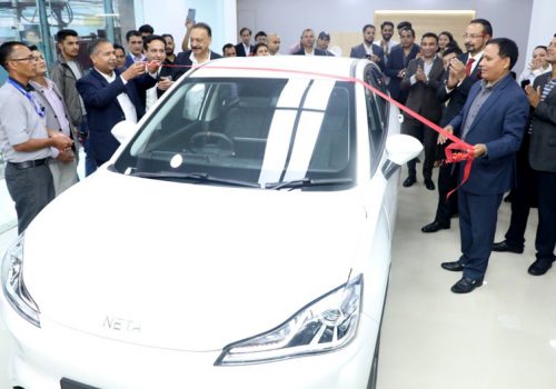 चिनियाँ इभी ब्राण्ड निटा अटो दिवालियापन पुनर्गठनको प्रक्रियामा प्रवेश