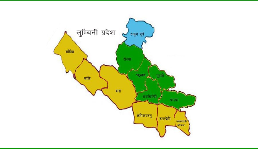लुम्बिनी प्रदेशमा इन्टरनेट सेवामा १४ प्रतिशतले वृद्धि, मोबाइल ब्रोडब्याण्ड ३१९ प्रतिशतले बढ्यो