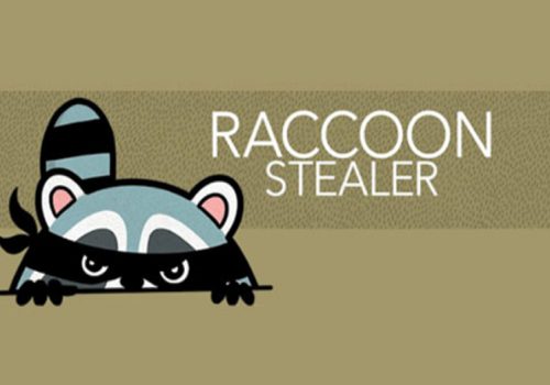 क्रेडिट कार्डदेखि फिंगरप्रिन्ट डाटासम्म चोरी गर्दै रकुन मालवेयर, यसरी सुरक्षित हुनुस्