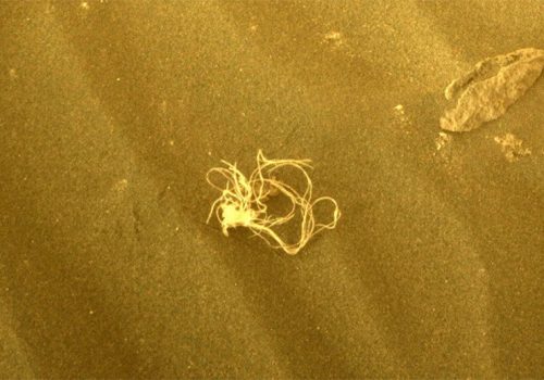 नासाको मार्स रोभरले फेला पार्यो स्पागेटी जस्तो वस्तु