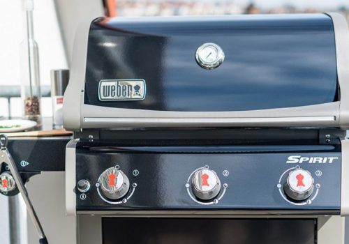 अमेरिकी नियामकद्वारा वेबर ग्रिलसँग ‘मर्मत गर्ने अधिकार’ बारेमा सम्झौता