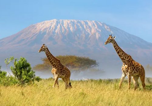 तान्जानियाको किलिमन्जारो हिमालमा उच्च गतिको इन्टरनेट सेवा