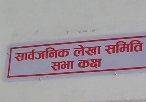 एनसेलको शेयर खरिद बिक्री बारे छलफल गर्न सार्वजनिक लेखा समितिको बैठक बुधबार बस्दै