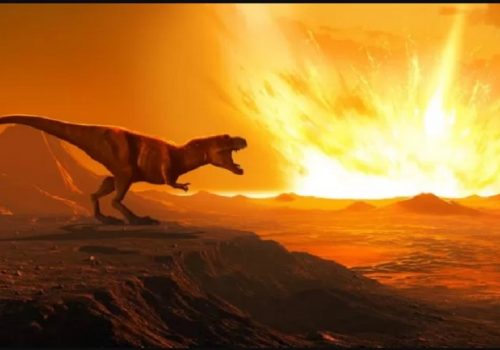 डाइनसोरमा विपरीत लिङ्गीलाई आकर्षित गर्न सिङ