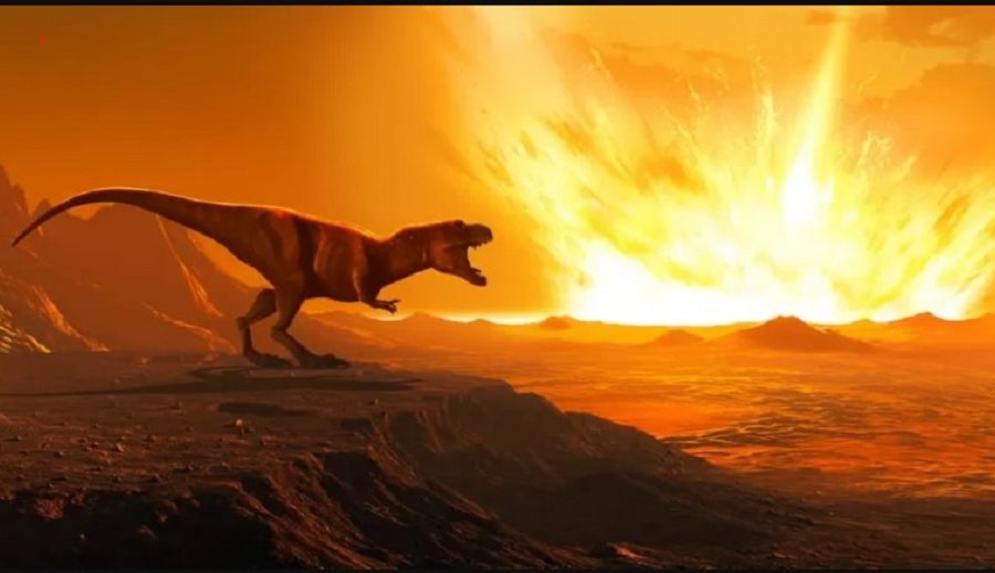 वैज्ञानिकहरूले डायनासोर लोप हुनुको रहस्य सुल्झाएको दाबी