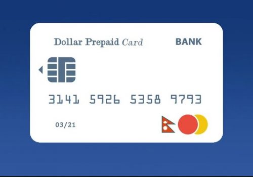 डलर कार्डमार्फत बाहिरियो ८८ करोड