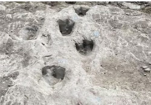 अमेरिकामा सुक्खा परेपछि ११.३ करोड वर्ष पूरानो डाइनोसरको पाइला फेला