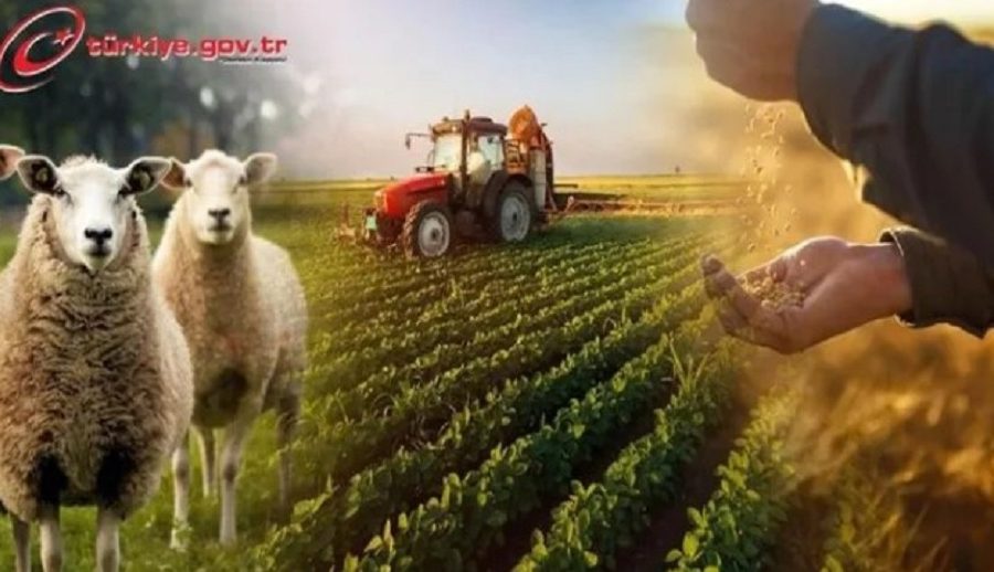 टर्कीमा किसानहरु अब ई–सरकारमा, कृषि व्यापारमा मध्यस्तकर्ता