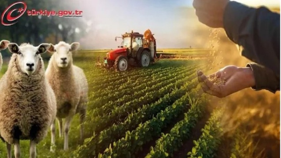 टर्कीमा किसानहरु अब ई–सरकारमा, कृषि व्यापारमा मध्यस्तकर्ता