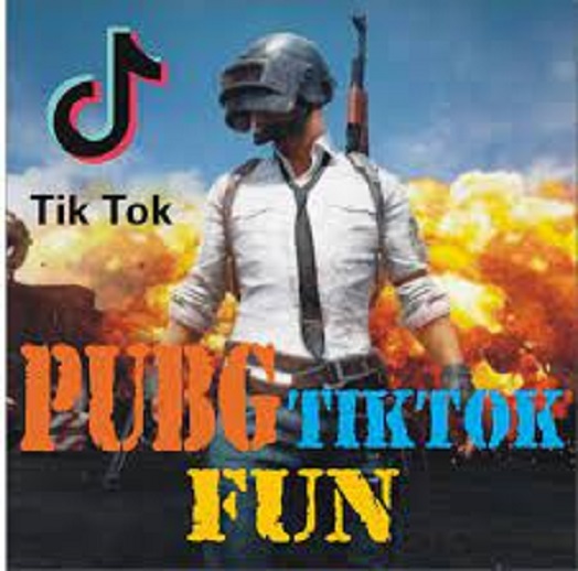 अफगानिस्तानमा टिकटक र पब्जी प्रतिबन्ध