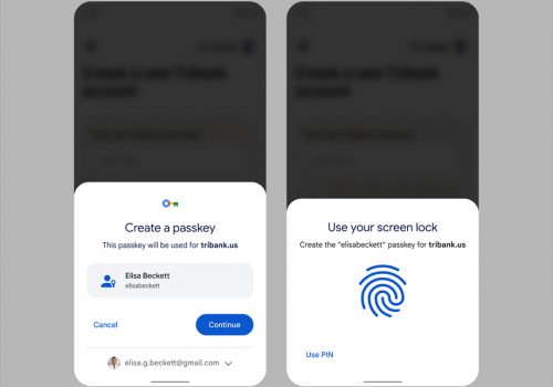 गुगलले ल्यायो नयाँ फिचर, पासवर्ड बिना कुनैपनि वेबसाइटमा लगइन गर्न सकिने