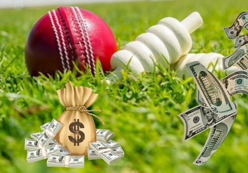 नेपाल र युएईबीच क्रिकेट सिरिजको अनलाईन सट्टेबाजी गराउने ४४ भारतीय पक्राउ