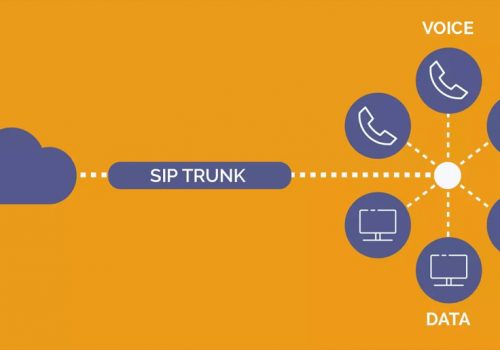 १०० लाइन प्रयोग गर्ने संस्थालाई उपयोगी नेपाल टेलिकमको सिप ट्रंक सेवा, जान्नुहोस् यसको बारेमा