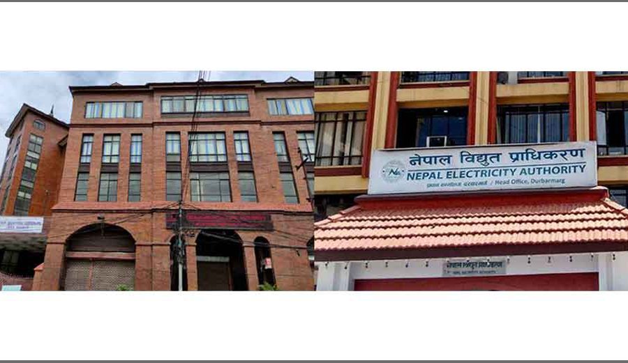 दूरसञ्चार प्राधिकरणले भन्यो- ‘पूर्वाधार कम्पनी नआएसम्म तारको दीर्घकालिन व्यवस्थापन हुँदैन्’