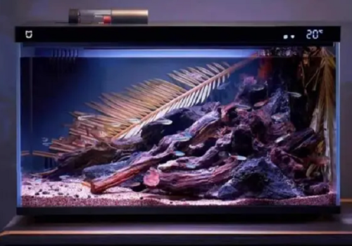 शाओमीको मिजिया स्मार्ट एक्वेरियम सार्वजनिक, तीन महिना घर बाहिर हुँदापनि माछाको हेरचाह गर्ने