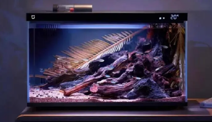 शाओमीको मिजिया स्मार्ट एक्वेरियम सार्वजनिक, तीन महिना घर बाहिर हुँदापनि माछाको हेरचाह गर्ने