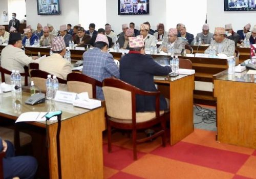 प्रधानमन्त्री प्रचण्डले भने: राष्ट्रिय परिचयपत्र किन आवश्यक भएको हो भन्ने प्रश्नको चित्तबुझ्दो उत्तर छैन्