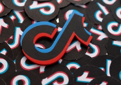 10 writ petitions lodged in Supreme Court against TikTok ban