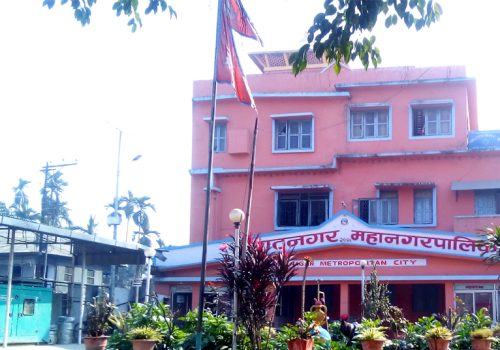 केबल र इन्टरनेटका तार व्यवस्थापन गर्दै विराटनगर महानगरपालिका