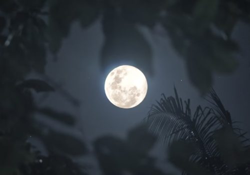 आज राती ‘स्नो मून’ देखिने, जान्नूहोस् यसमा के हुनेछ विशेष