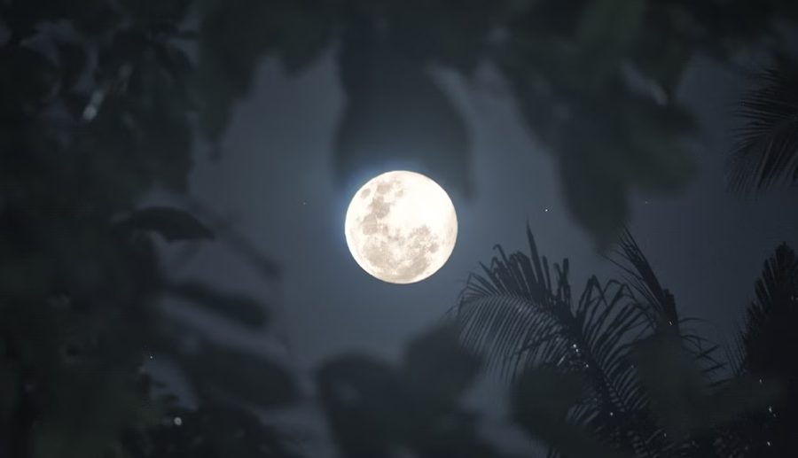 आज राती ‘स्नो मून’ देखिने, जान्नूहोस् यसमा के हुनेछ विशेष