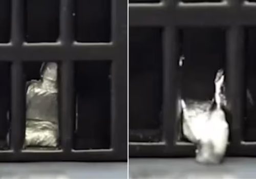 वैज्ञानिकले बनाए पग्लिएपछि पनि फेरि आकार लिने रोबोट