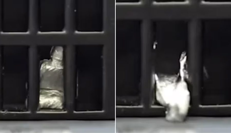 वैज्ञानिकले बनाए पग्लिएपछि पनि फेरि आकार लिने रोबोट