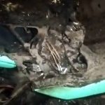 एथरको ईभी स्कुटर ‘एथर ४५०एक्स’ मा आगो लाग्यो